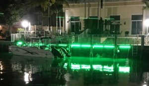 2 Reasons Why Underwater Dock Lights Are Essential - ApexLighting
