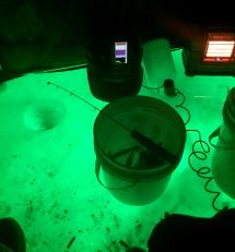 Green Blob Fishing  Fishing lights, Underwater fish, Ice fishing diy
