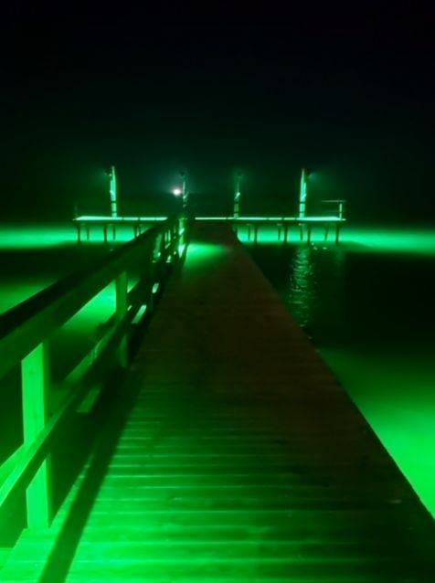 Marine LED Light Image Gallery | AlumiGlo Customer Photos