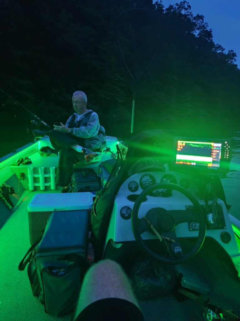 Proven LED Fishing Lights  Reel BriteBite Jr Underwater Fishing light